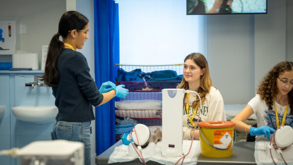 Young Doctor Summer Experience