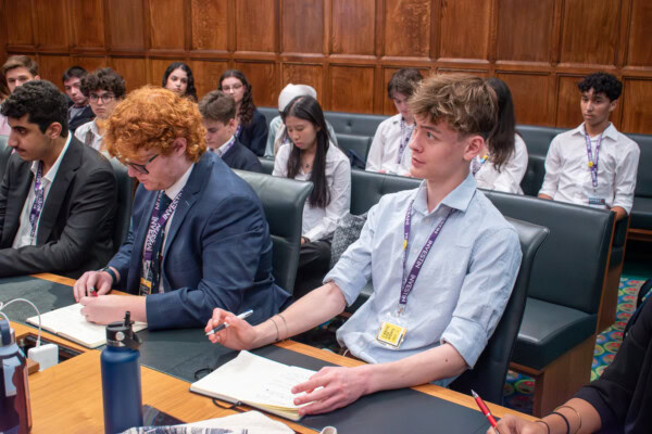 The Young International Politics Summer Experience