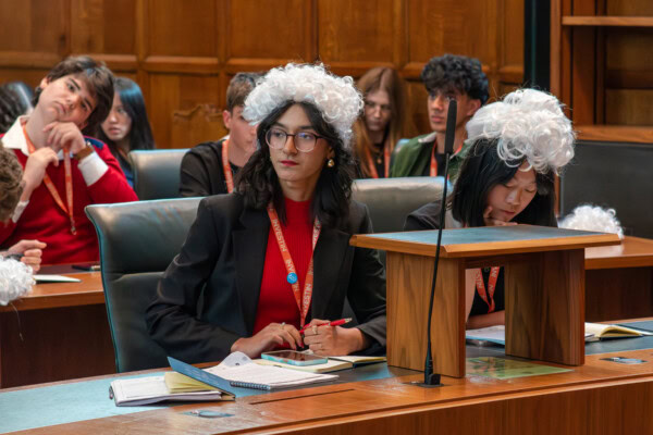 Young Lawyer Summer Experience