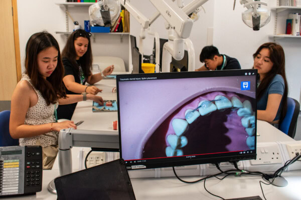 Young Dentist Summer Experience