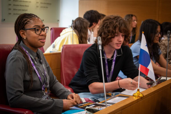 The Young International Politics Summer Experience