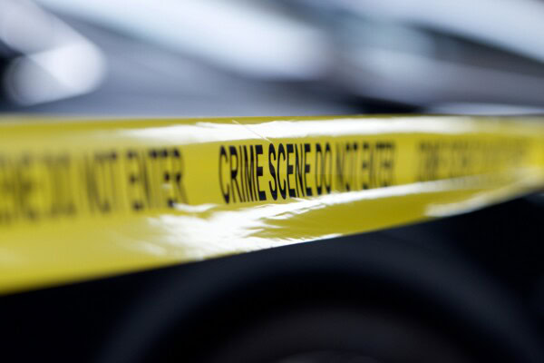 Young Forensic Scientist Summer Experience