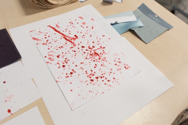 Young Forensic Scientist Summer Experience