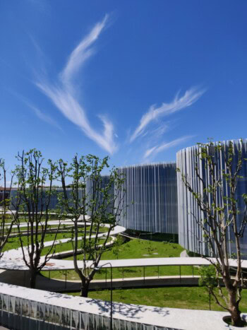 Bocconi University, photo credit: Wikimedia Commons