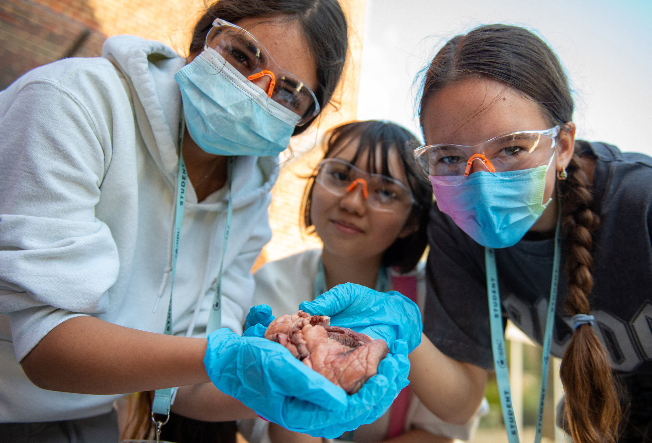 Future Scientists (STEM) - Canford