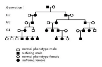 Five-generation pedigree chart showing inheritance of a condition. Used for a question in an Oxford Biology interview.
