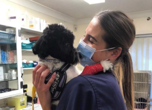 Dr Natalia Hebda, Veterinary Surgeon and veterinary professional on the Vet Summer Experience