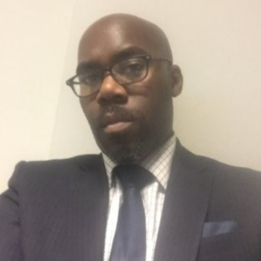Justin Placide, former Head of Net Zero Governance and Fiscal Events Team from The Department for Business, Energy and Industrial Strategy, and politics professional on the International Politics Summer Experience